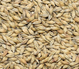 malt pale 2 rangs