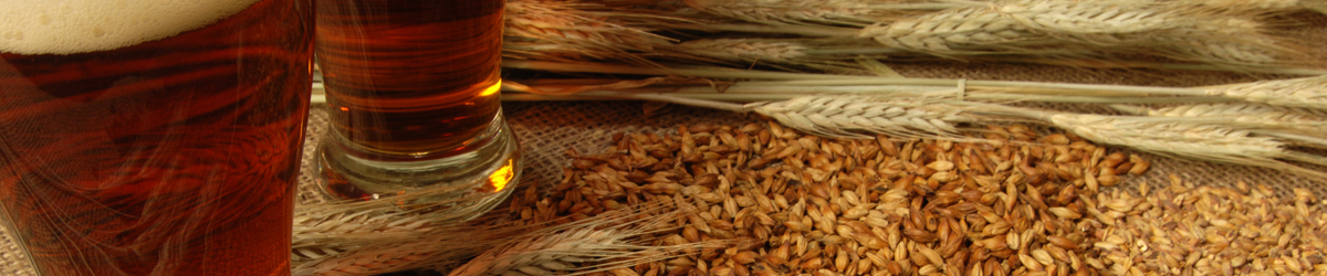Orge, malt et bière