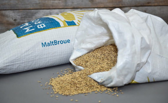 malt de spécialité